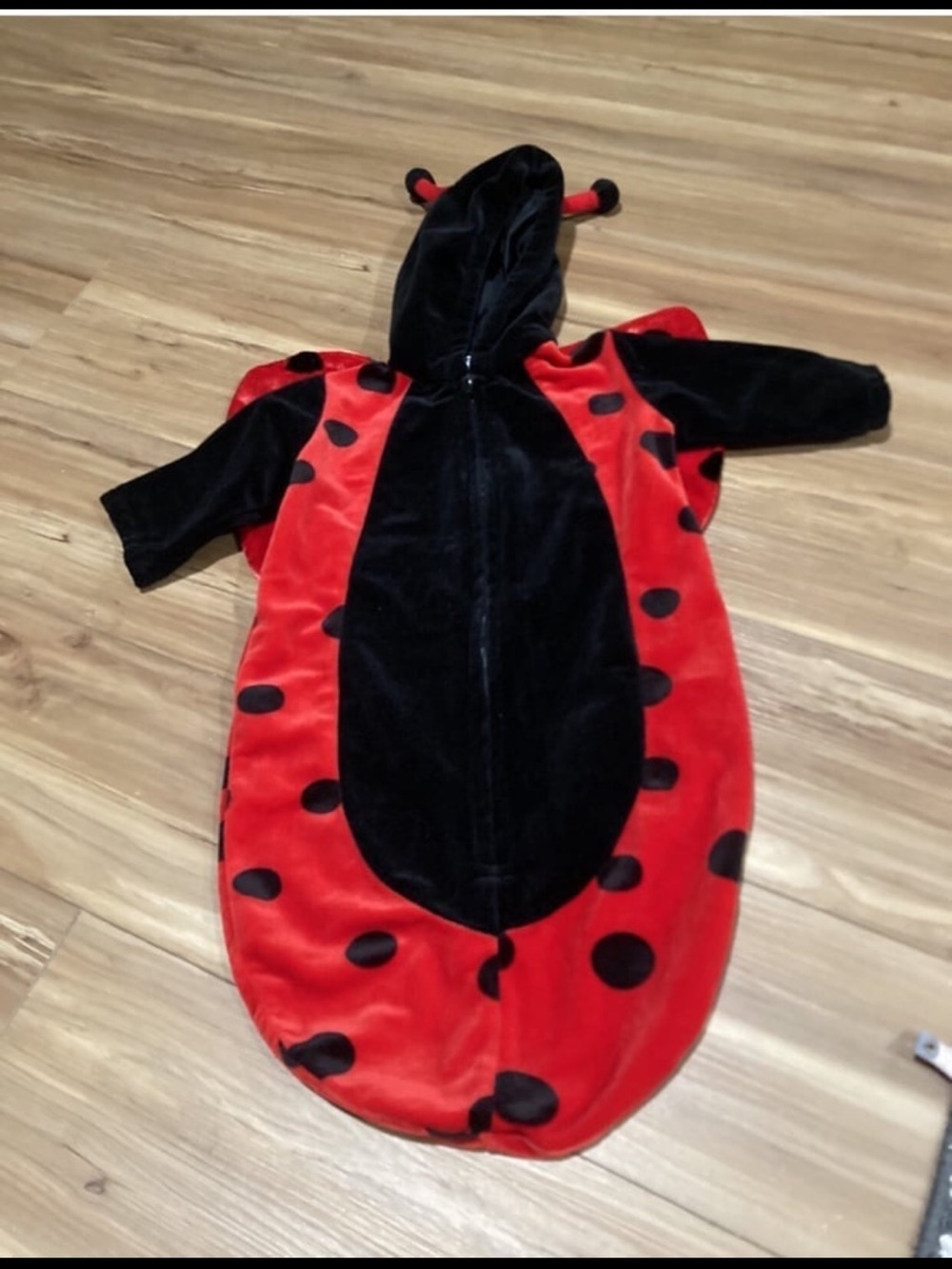 Ladybug Costume Hooded Sleepsack Size 0-9m